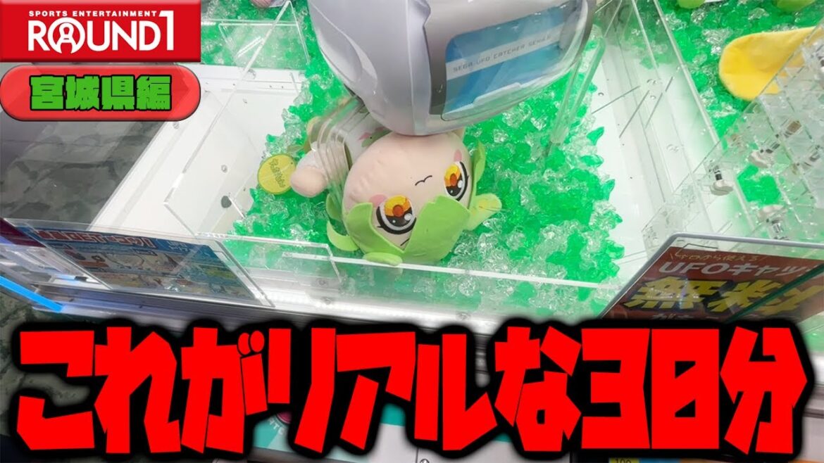 【クレーンゲーム】30分タイムアタック!! 【クレーンゲーム】30分タイムアタック!!