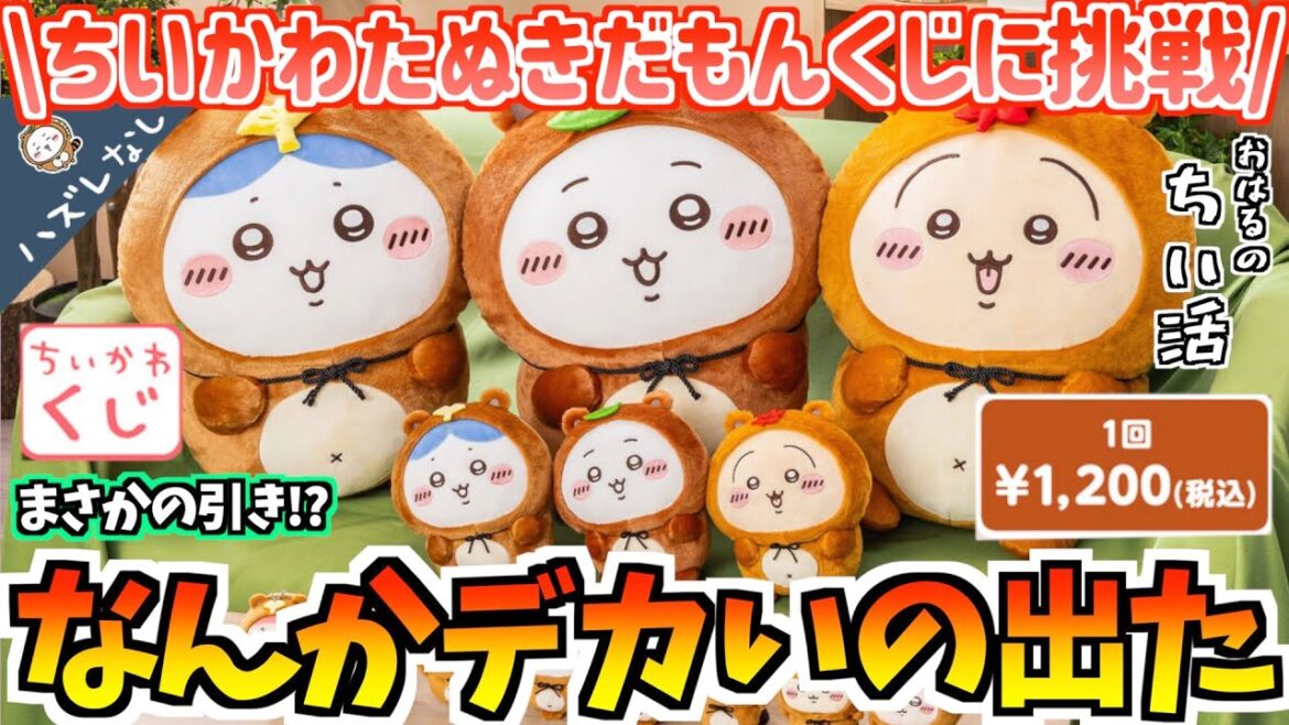【ちいかわくじ】まさかの引き!?ちいかわたぬきだもんくじに挑戦！【ちいかわグッズ】【ちいかわ新商品】【おはるのちい活vlog】【ちいかわマーケット】【ちいかわらんど】【chiikawa】