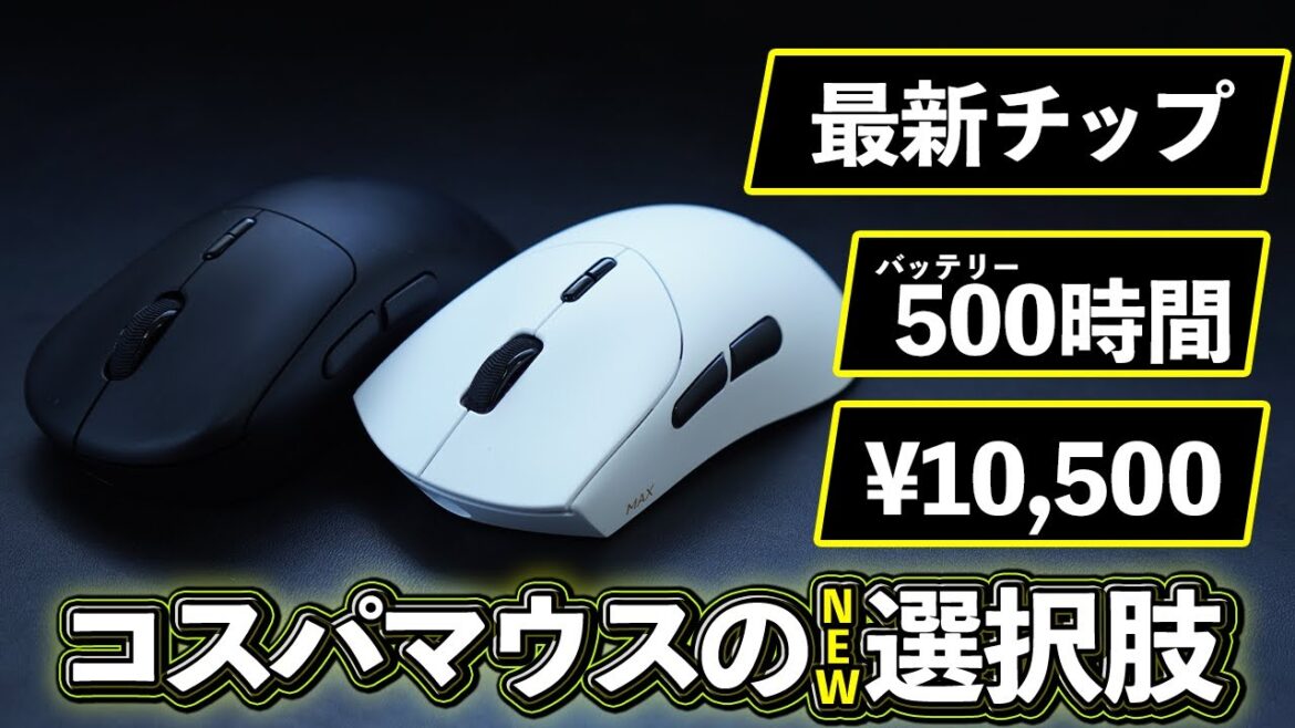 【1万円】バッテリー持ちが異次元なゲーミングマウス RAPOO