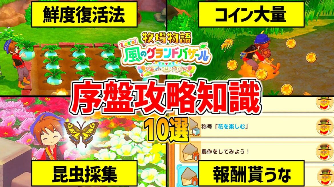 【牧場物語】牧物グラバザ序盤攻略知識10選！鮮度の管理や交流のコツ【 Let’s！風のグランドバザール Nintendo Switch 2】