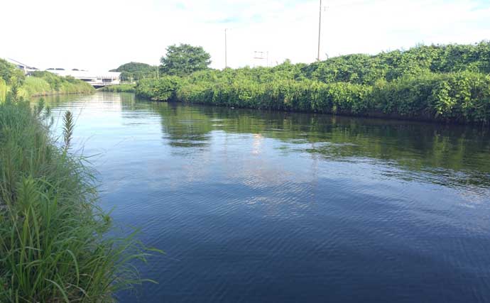 「大量のイナッコに大苦戦！」村田川シーバスゲームで良型含みボラ連発で意外と満足？【千葉】