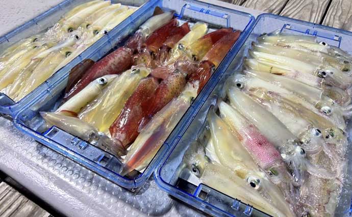 【沖のルアー釣果速報】伊勢湾のマゴチゲームで64cmマーゴンサイズ浮上（愛知・三重）