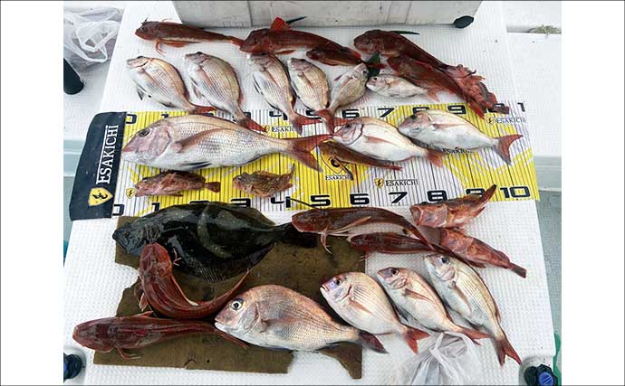 【沖のルアー釣果速報】伊勢湾のマゴチゲームで64cmマーゴンサイズ浮上（愛知・三重）