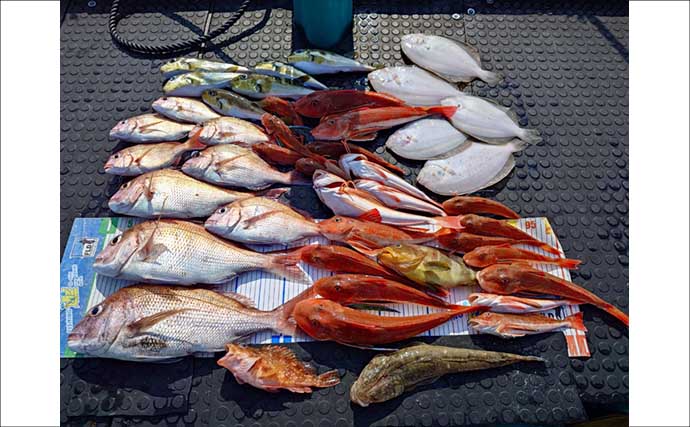 【沖のルアー釣果速報】伊勢湾のマゴチゲームで64cmマーゴンサイズ浮上（愛知・三重）