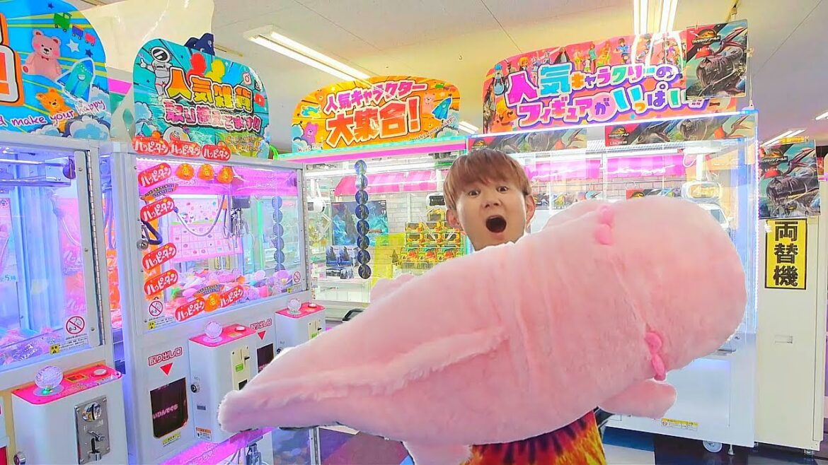 【クレーンゲーム】1万円で奇跡の大物GET！お得すぎた結果ｗ