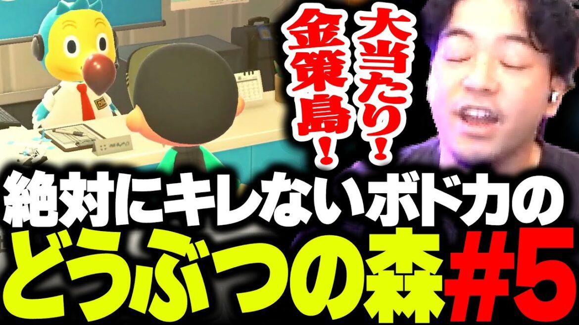 【ボド森#5】離島ガチャに成功して、ヤバすぎる金策島を引き当てるボドカ【あつまれ どうぶつの森】