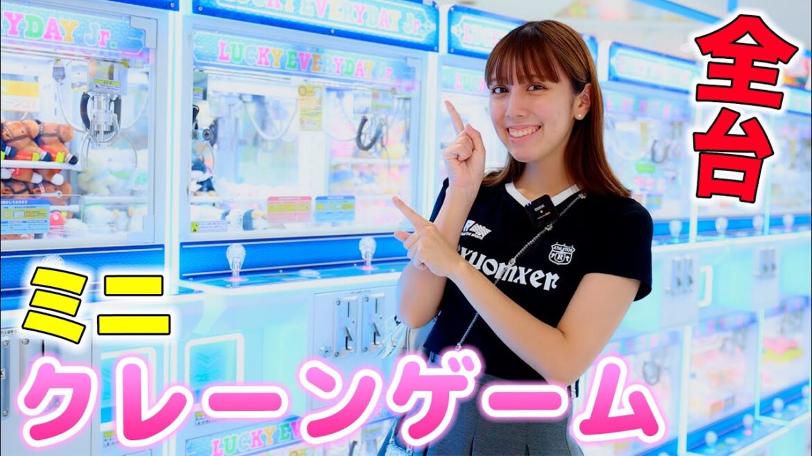 ミニクレーンゲーム全台！今回こそいっぱい取りたい！エブリデイで何個取れた？【クレーンゲーム】