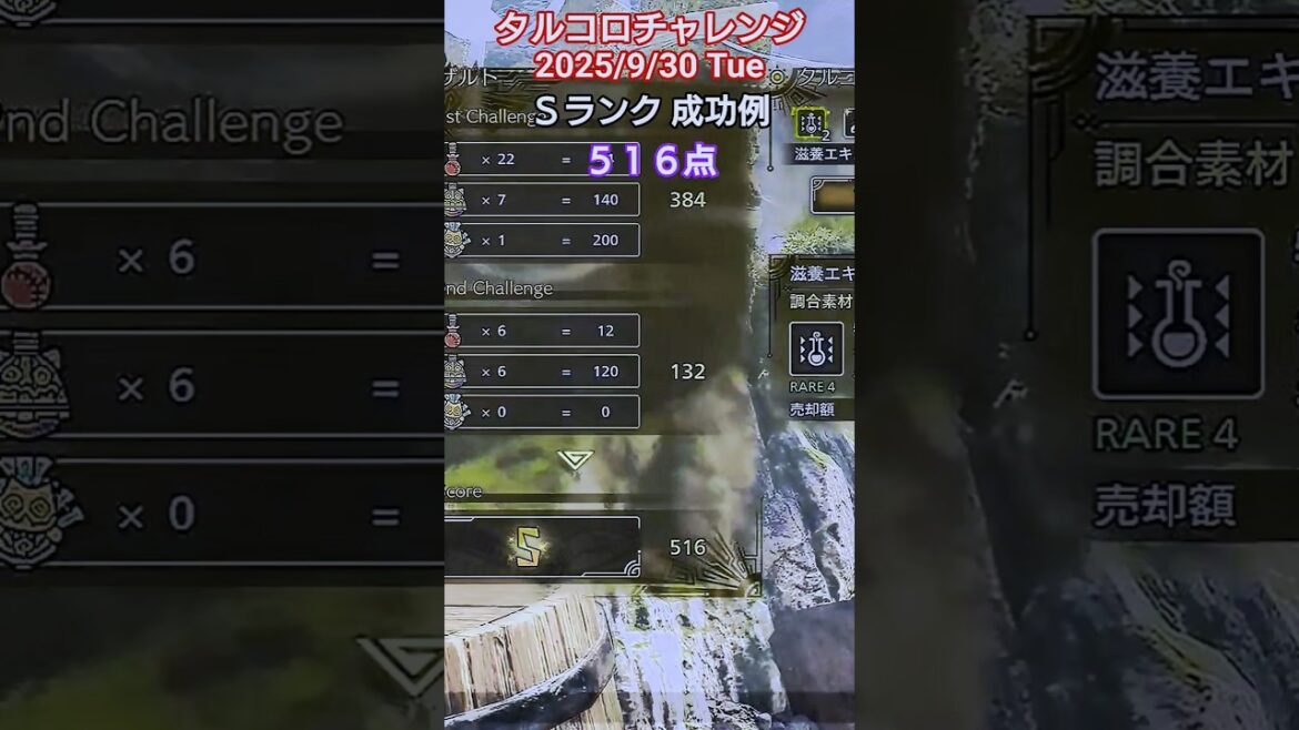 タルコロチャレンジ 2025/9/30 Ｓランク 成功例 ５１６点