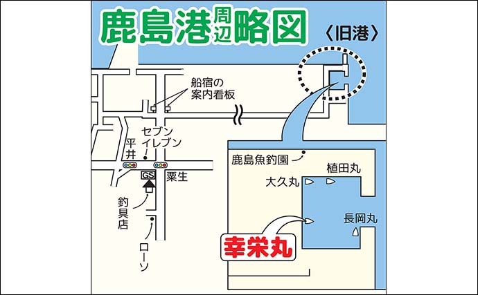 鹿島沖のナイトイカメタルゲームでスジイカ37尾手中【茨城・幸栄丸】初挑戦で2点掛けも達成