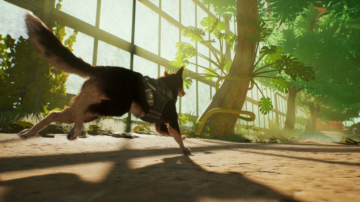 もふもふ犬ステルスアクション『Barkour』Steam無料デモ版10月2日配信へ。こだわり「犬表現」満載、でも“ステルス迷彩”まで使いこなすハイテクスパイ活劇 - AUTOMATON