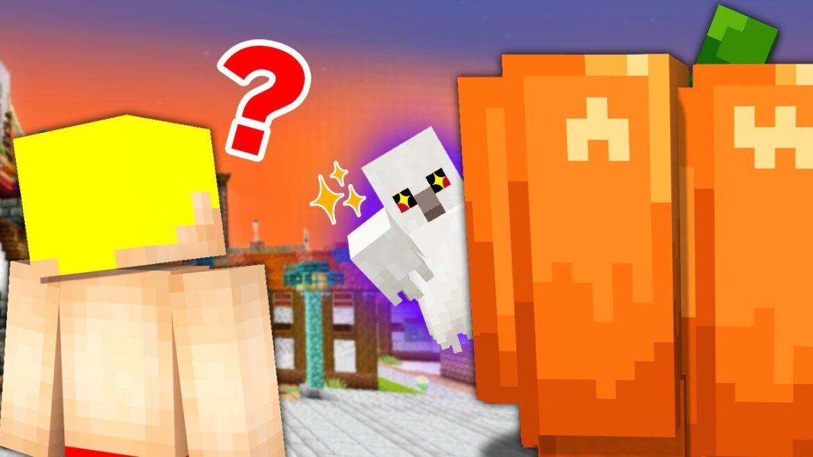 君たち、僕のことみえるの?【マイクラ】 君たち、僕のことみえるの?【マイクラ】