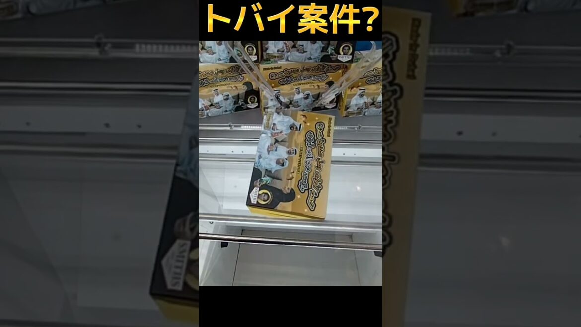 #クレーンゲーム #攻略 #ドバイ案件 #ドバイ  クレーンゲーム 攻略  TikTok