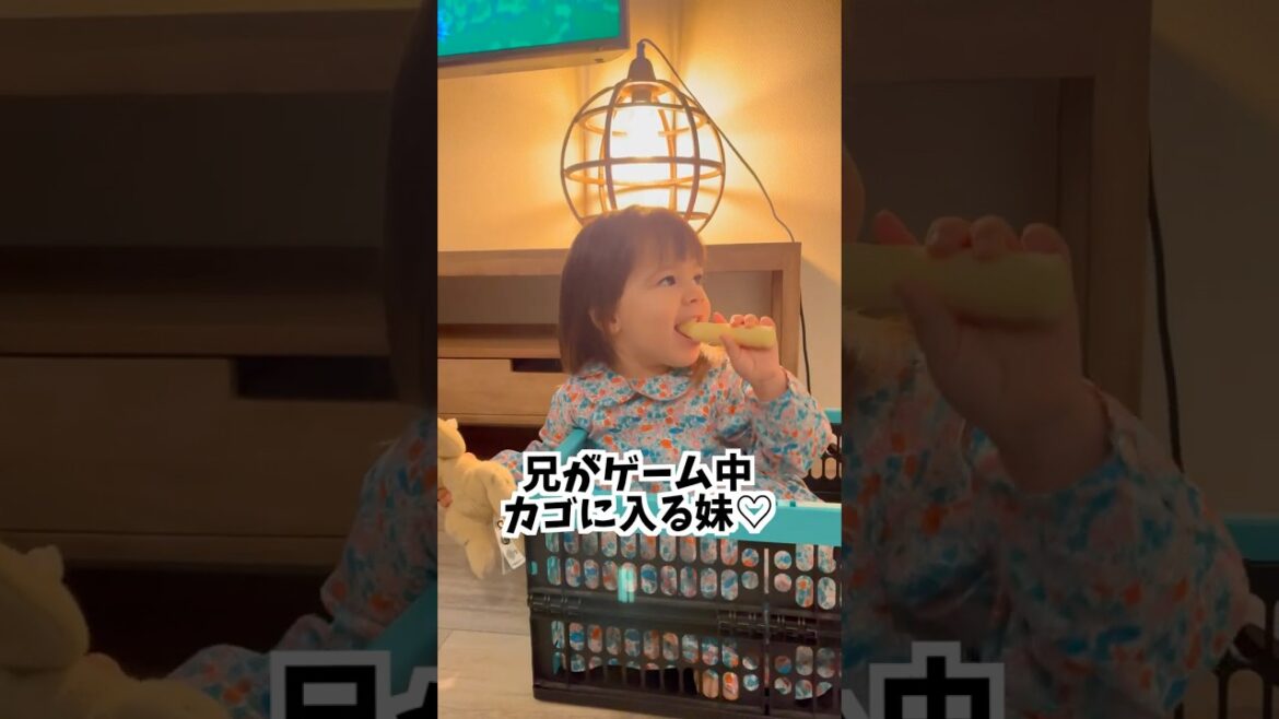 兄のゲーム見ながら、カゴでドライブ気分の妹🤣🎮