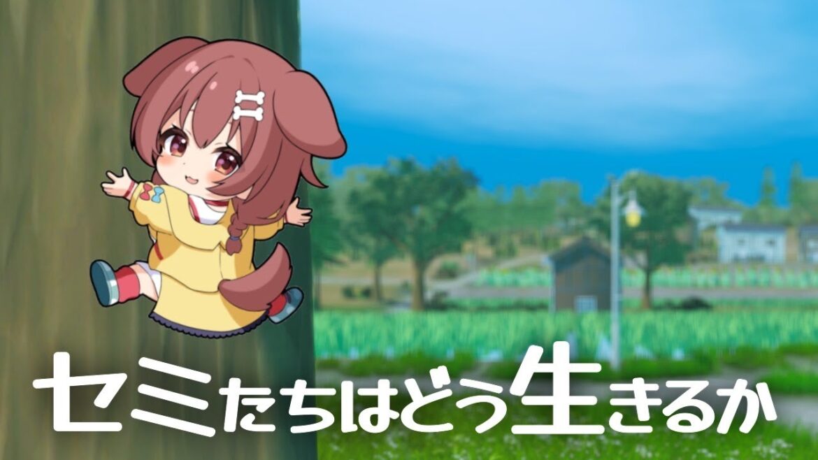 セミの人生はこちら↑ セミの人生はこちら↑