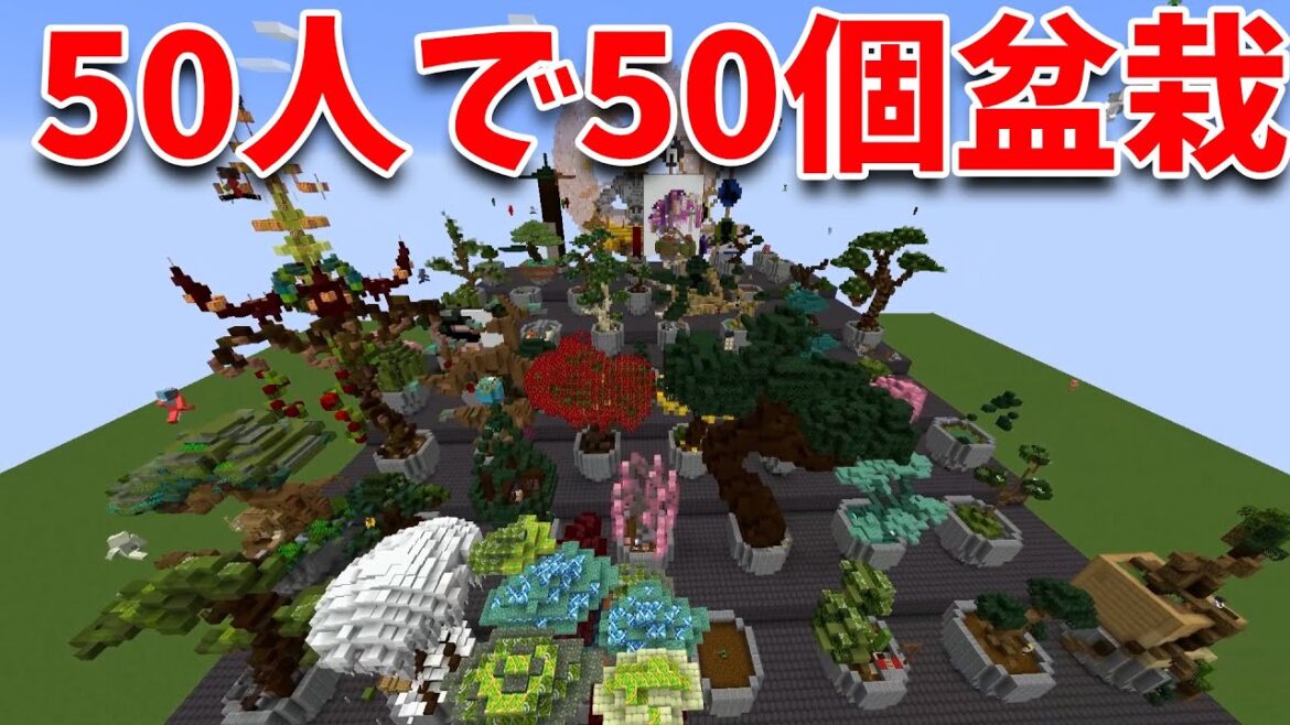 50人で1人1個盆栽つくってみた 50人で1人1個盆栽つくってみた