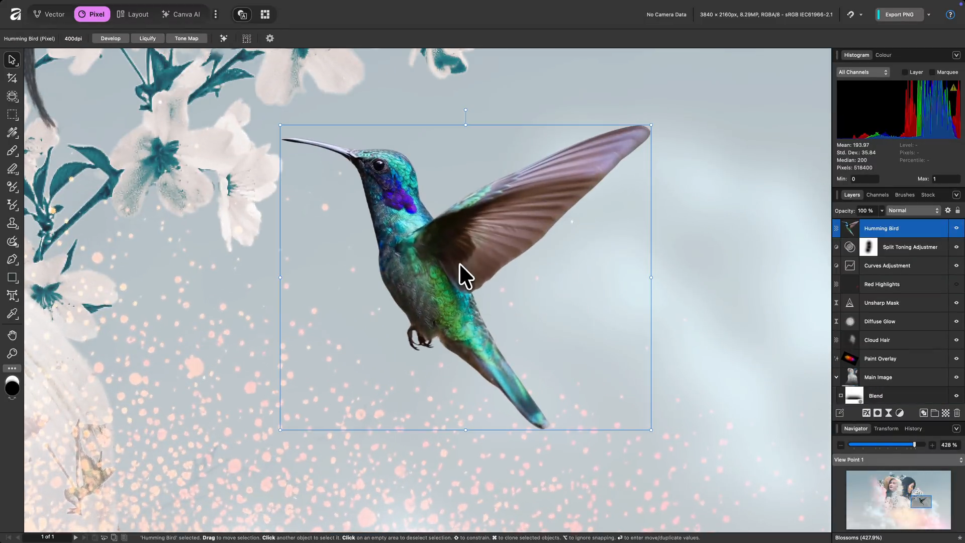 「Affinity Studio」が無料リリース
_002
