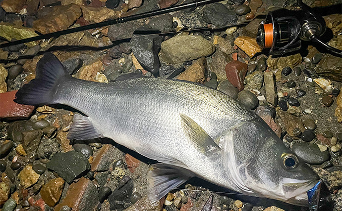 浜名湖でルアー釣りを楽しむなら「ライトゲームタックル」が圧倒的にオススメな理由