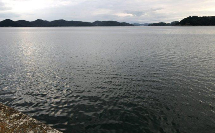 陸っぱりヒラメゲームのついでにシーバスを狙ったら入れ食い！　使用ルアーは『IJ16』のみ