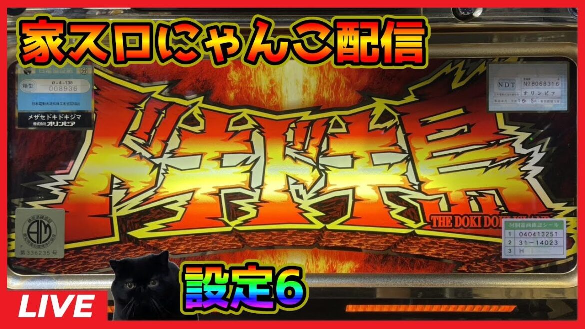 【家スロにゃんこ配信】めざせドキドキ島【設定6】#3