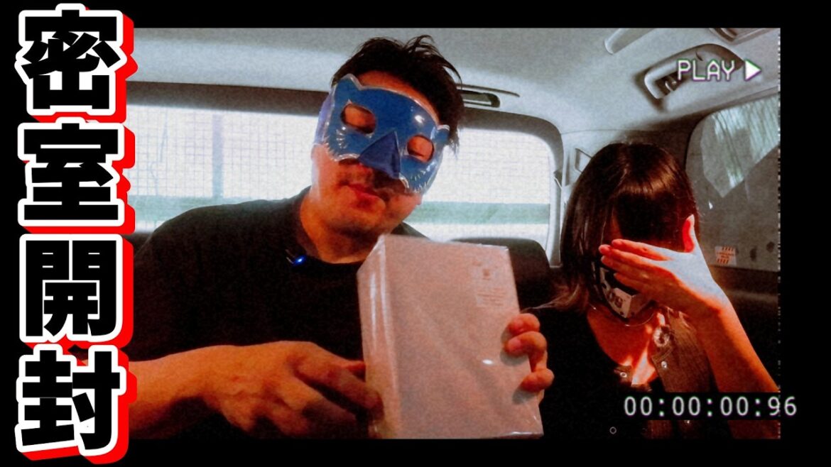 【密室開封】怪しすぎる車内でレトロゲーム福袋を開けたら… 【密室開封】怪しすぎる車内でレトロゲーム福袋を開けたら…