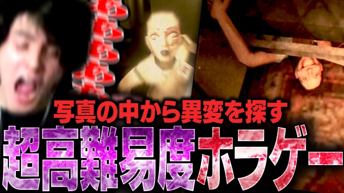 撮影した写真の中から怪異を探し当てるホラーゲームがあまりに高難易度すぎて絶叫するスタンミじゃぱん【Photomaly】 撮影した写真の中から怪異を探し当てるホラーゲームがあまりに高難易度すぎて絶叫するスタンミじゃぱん【Photomaly】