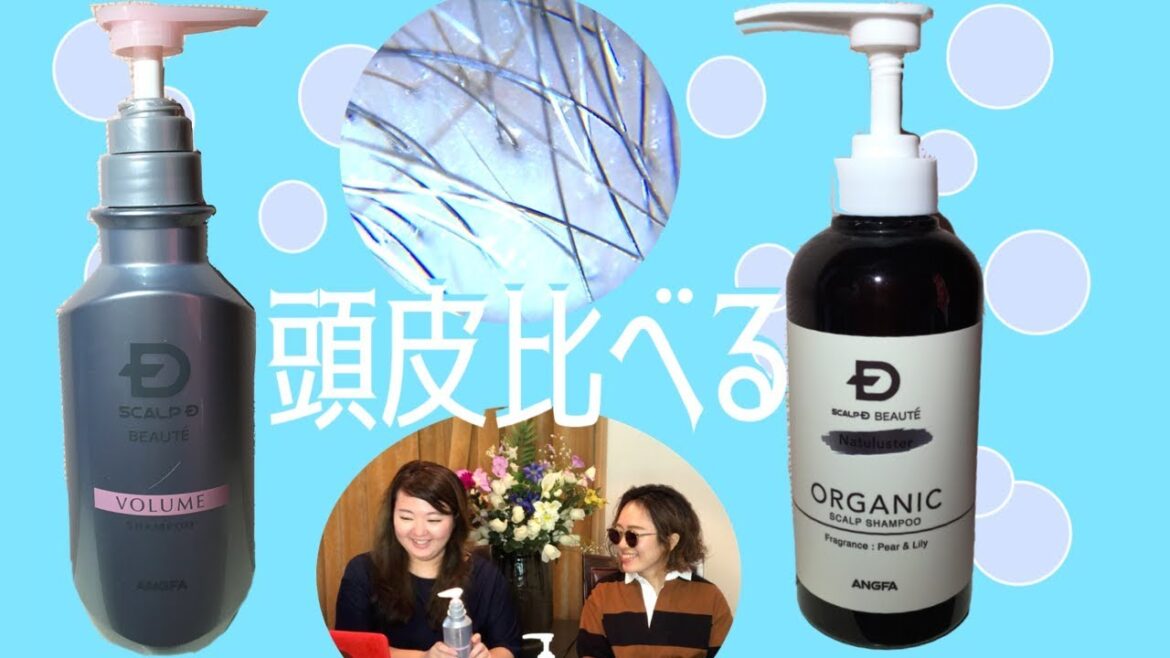 女性用スカルプDボーテとオーガニックシャンプーを比べてみた　scalpD Beauté volume VS organic shampoo (for female)comparison