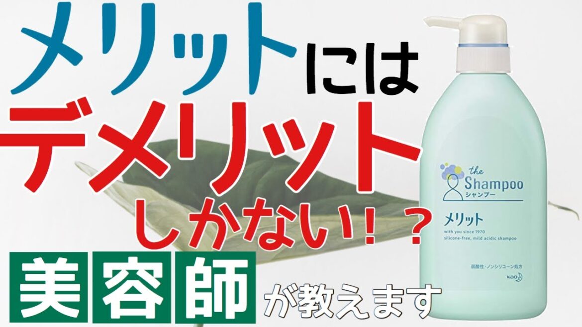 皆さんご存じの、メリットを買う前にデメリットを知ってほしい。 皆さんご存じの、メリットを買う前にデメリットを知ってほしい。