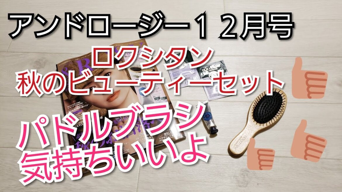 雑誌付録　アンドロージー　ロクシタン　秋のビューティーセット　パドルブラシだけ満足度８６％