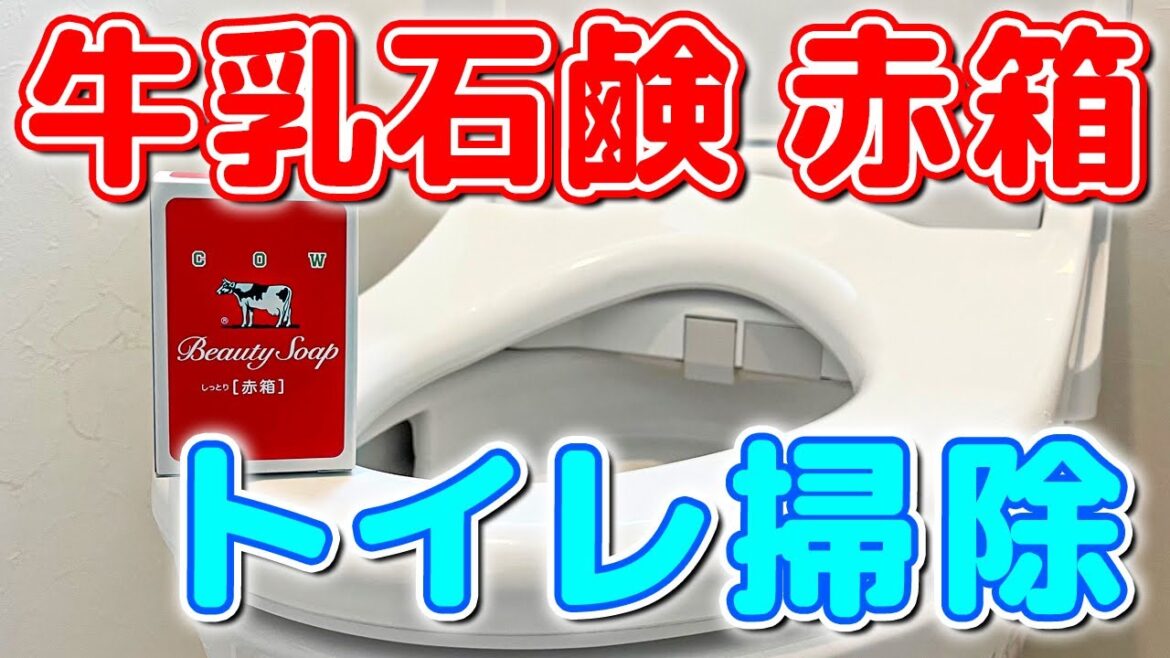 【使える裏技】牛乳石鹸「赤箱」をトイレ掃除に使う方法！