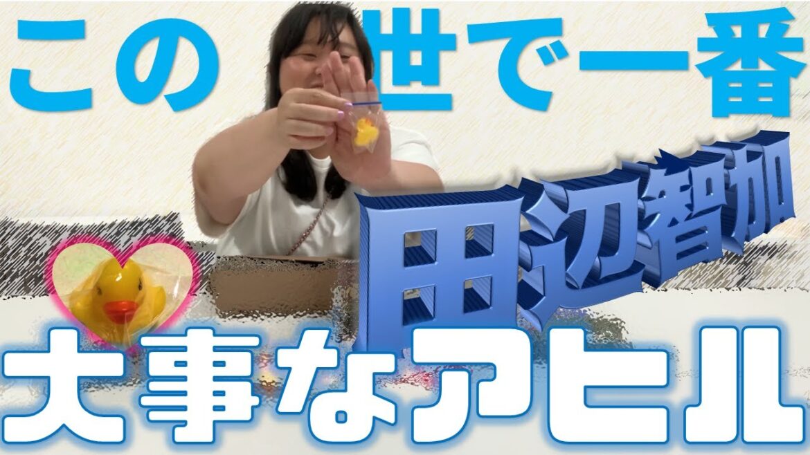 ぼる塾田辺の鞄の中身は何でしょね！(レギュラー：はるちゃん＆あんり)