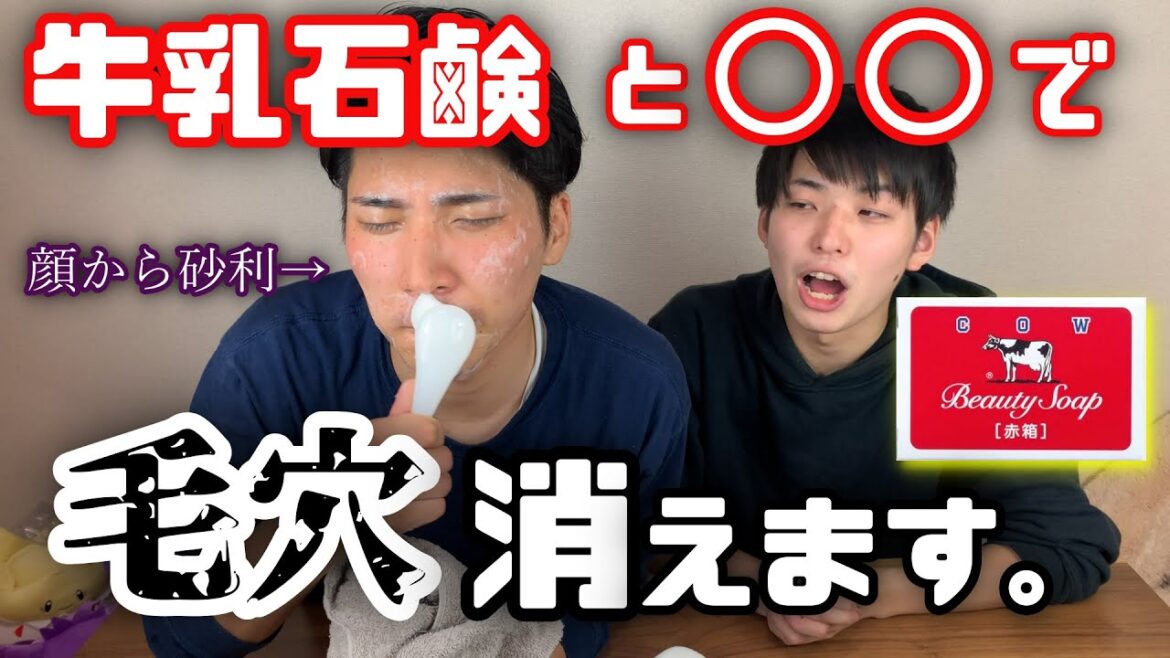 【牛乳石鹸とアレ】で毛穴がなくなる！顔から砂利が出るスキンケア！
