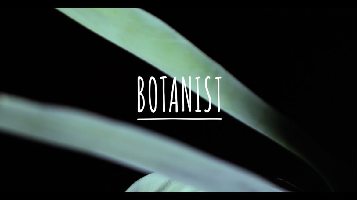 BOTANIST | Botanical damage care Shampoo & Treatment
