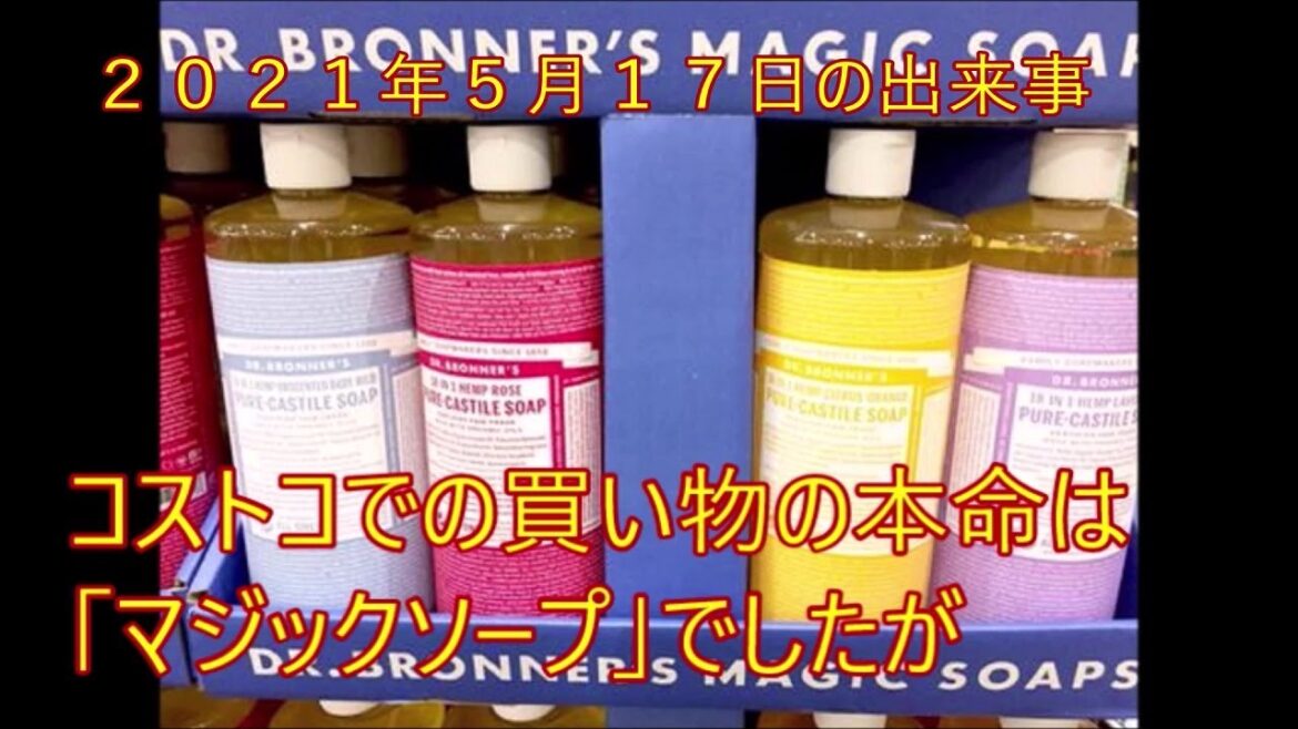 コストコの買い物の本命、マジックソープですが、お約束の別途買い物