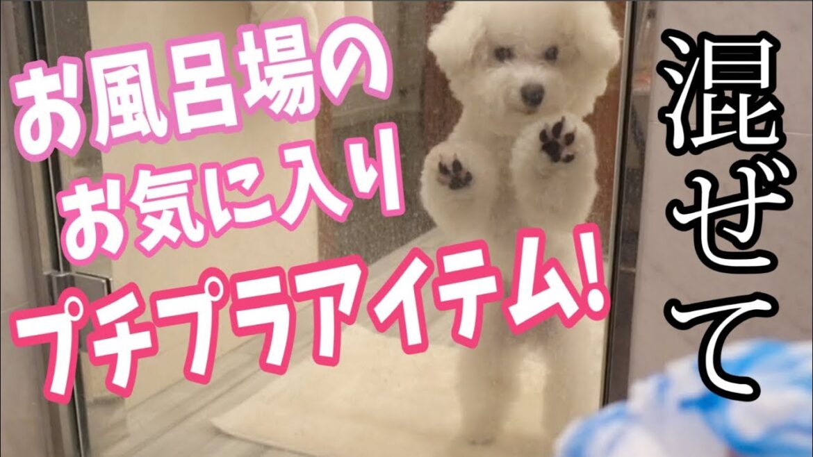 プチプラのお気に入りお風呂場アイテム紹介!!