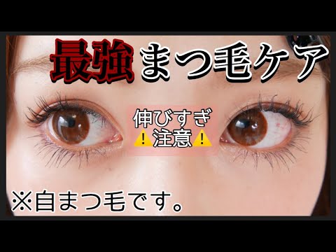 【ケア】まつ毛が伸びる?!最強まつ毛美容液とケア方法♡【まつ育】 【ケア】まつ毛が伸びる?!最強まつ毛美容液とケア方法♡【まつ育】