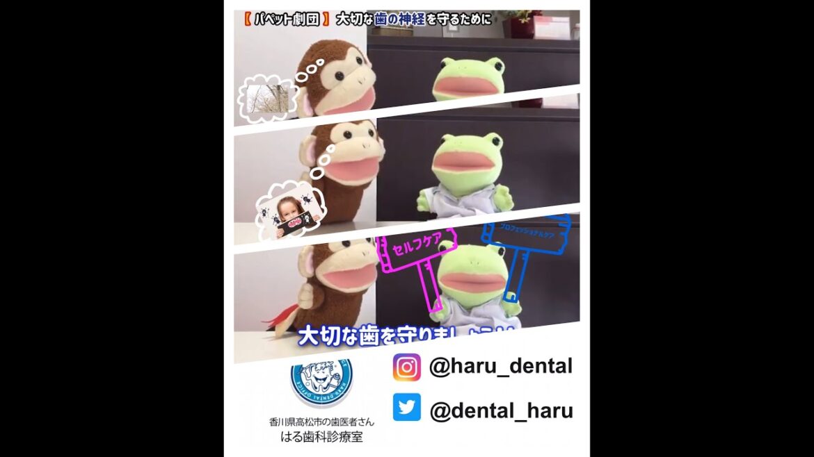 【パペット劇団】大切な歯の神経を守るために
