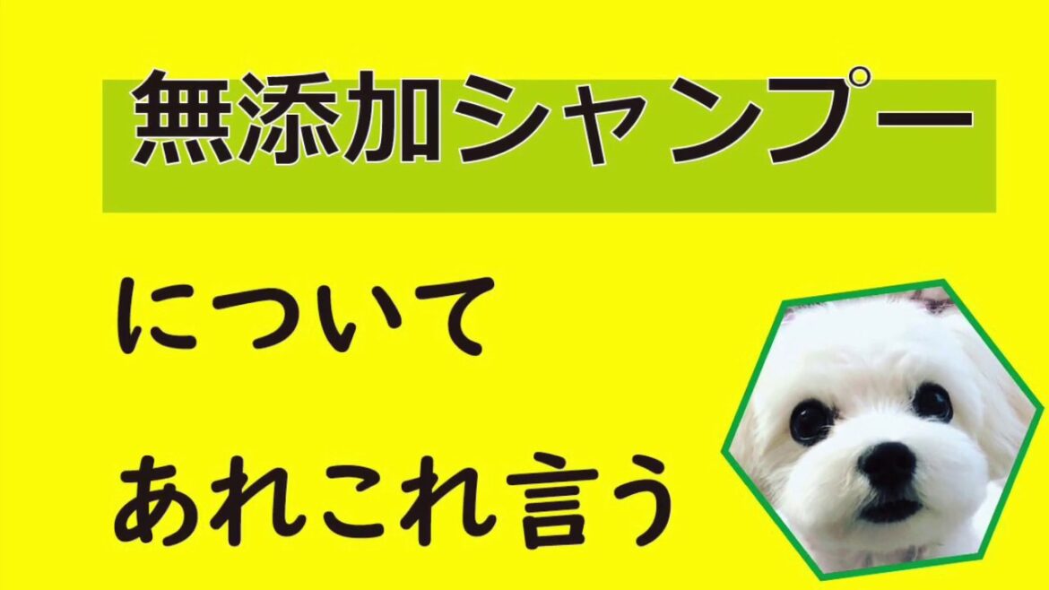 無添加シャンプー　って？？