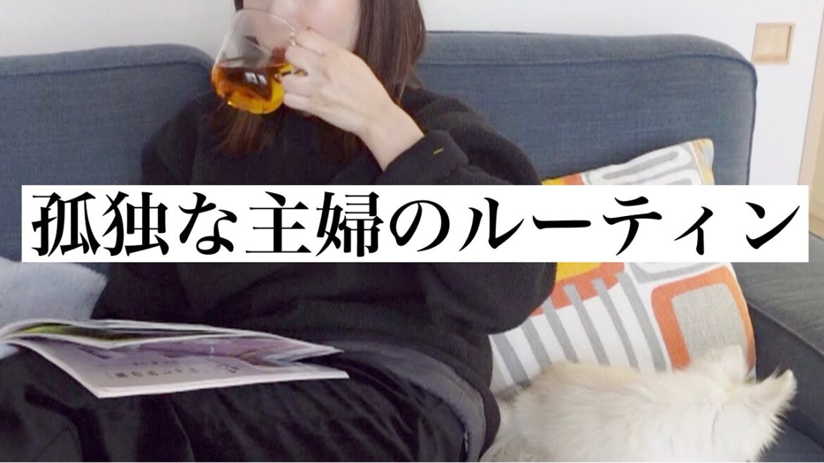 【子なし主婦】お昼ご飯や掃除ルーティン♪サラ🐶チワワ
