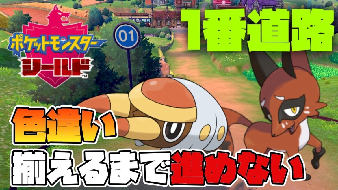 [色違い厳選]色違いで図鑑完成！1番道路編  [ポケモン剣盾]