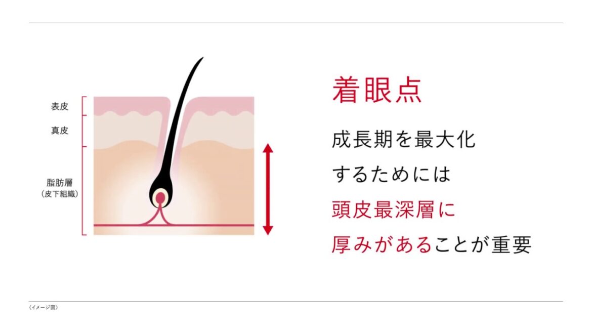 【資生堂の新知見】健やかな毛髪成長の鍵