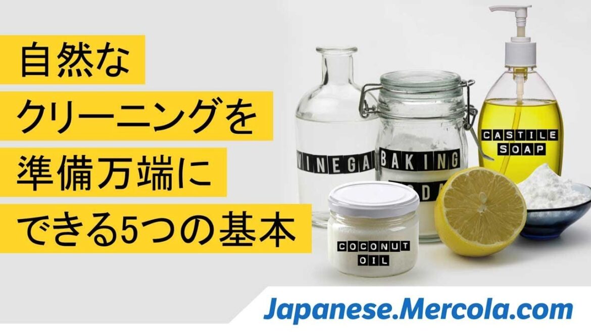 自然なクリーニングを準備万端にできる5つの基本