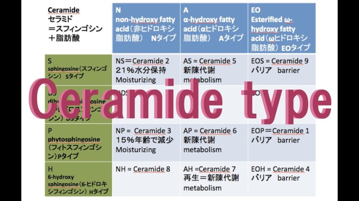 ヒト型セラミドの種類と選び方❤︎Ceramide type【For sensitive skin】