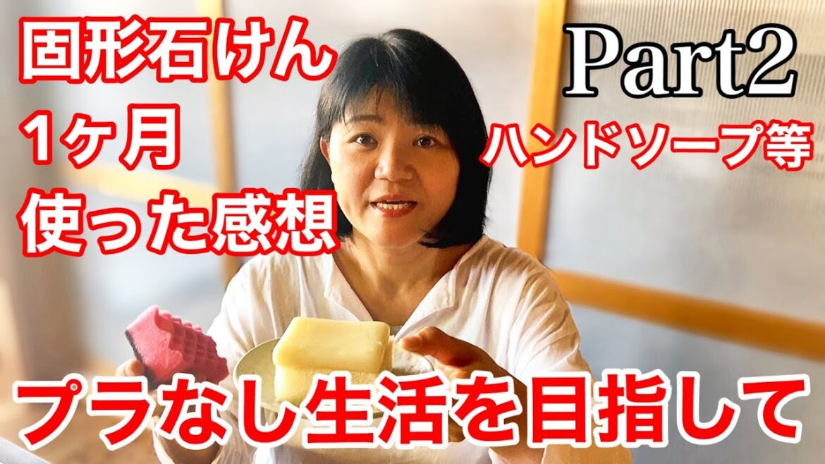 【プラなし生活目指す主婦の本音レビュー】ハンドソープ、キッチンソープ、固形石鹸全般の１ヶ月使った感想Part2