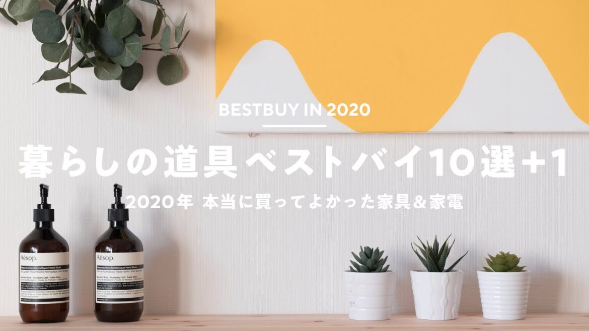 【ベストバイ2020】家電や生活用品など暮らしの道具10選+1 【ベストバイ2020】家電や生活用品など暮らしの道具10選+1