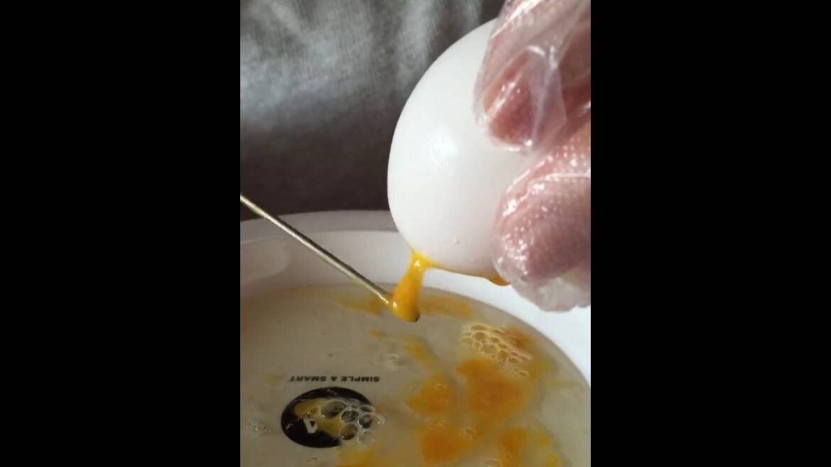 １個　の穴で　タマゴの中身を出す方法