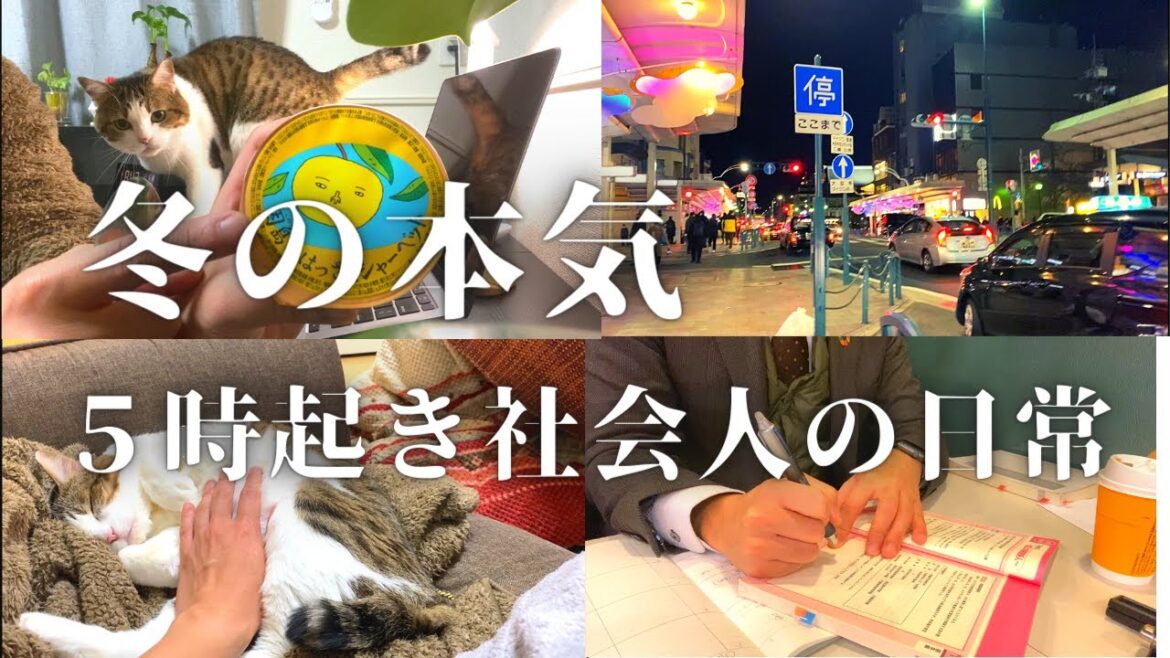 【ストイックサラリーマンの日常#21】筋トレ・猫・勉強ルーティン【Study vlog 司法書士試験受験生】 【ストイックサラリーマンの日常#21】筋トレ・猫・勉強ルーティン【Study vlog 司法書士試験受験生】