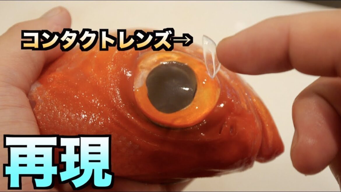 【危険】コンタクトを付けて寝るとどれだけ目が傷つくかかわかる動画