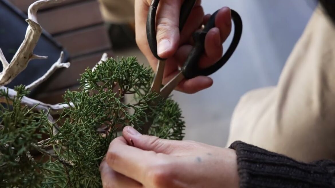 乾燥肌の救世主　タフにうるおい続くヘンプの力　Teppei Kojima編