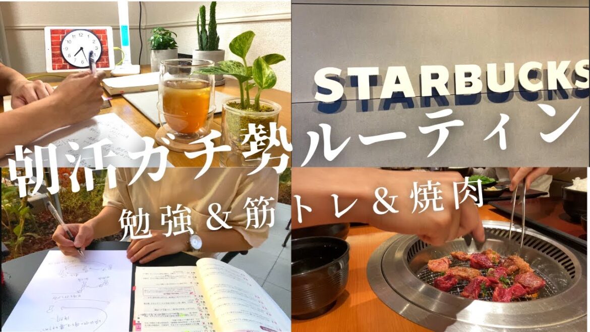 【司法書士試験直前ルーティン＃０５】朝活で追い込みをかける社会人【Study vlog 司法書士 TOEIC】