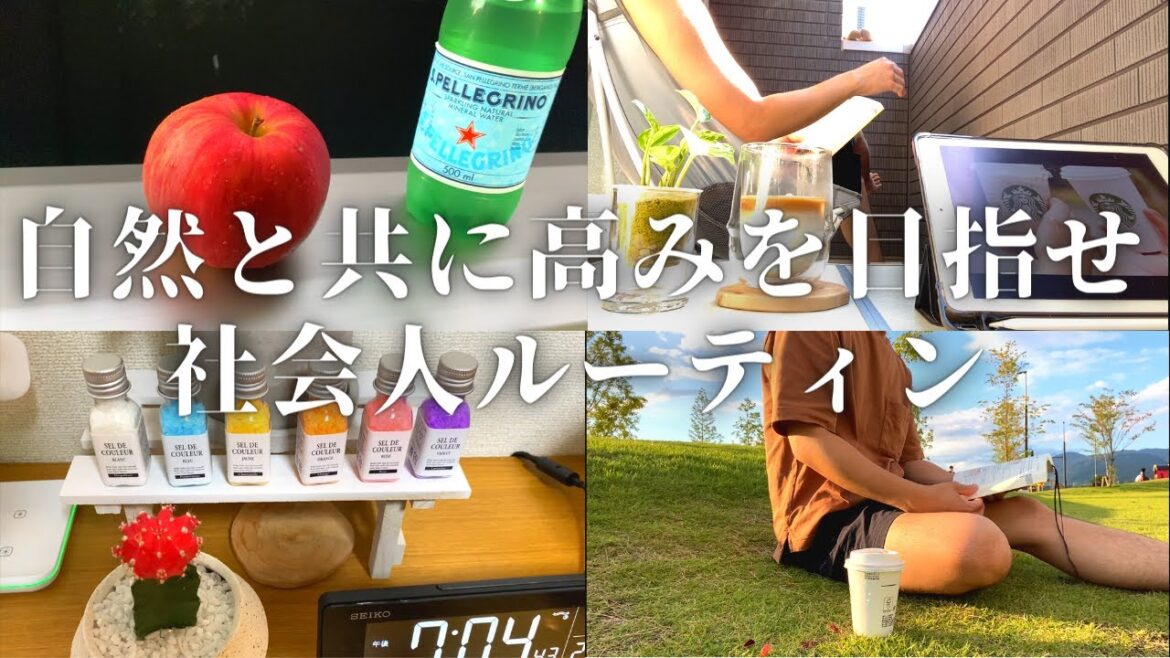 【社畜サラリーマンルーティン＃１５】猫と共に試験合格を目指す社会人【Study vlog 司法書士試験受験生】
